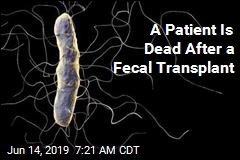 A Patient Is Dead After a Fecal Transplant