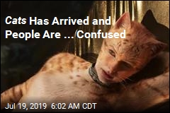 Best Reactions to the &#39;Bonkers&#39; Trailer for Cats
