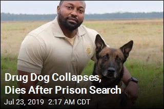Drug Dog Collapses, Dies After Prison Search