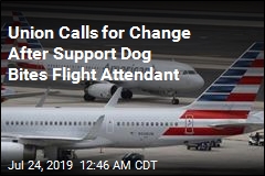 Emotional Support Dog Bites Flight Attendant