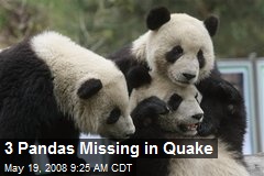 3 Pandas Missing in Quake
