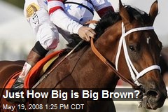 Just How Big is Big Brown?