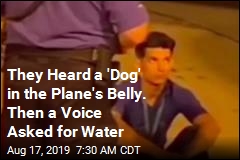 They Heard a &#39;Dog&#39; in the Plane&#39;s Belly. Then a Voice Asked for Water