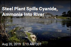 Steel Plant Spills Cyanide, Ammonia Into River