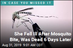 Woman Got Mosquito Bite, Ended Up Dead