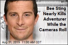 Famous Adventurer Nearly Killed by a Bee