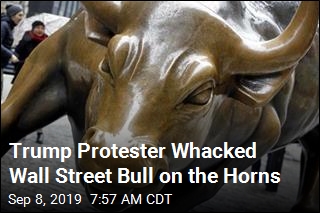 Wall Street Bull Gets Charged by Trump Protester