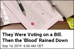 They Were Voting on a Bill. Then the &#39;Blood&#39; Rained Down