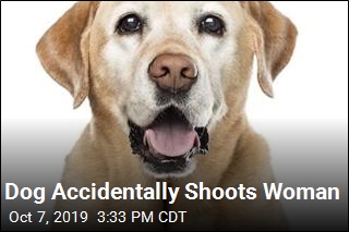 Dog Sets Off Gun, Shoots Woman