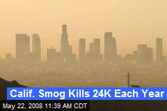 Calif. Smog Kills 24K Each Year