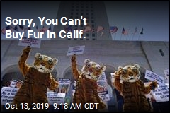 Calif. Bans Fur Products, Most Circus Animals