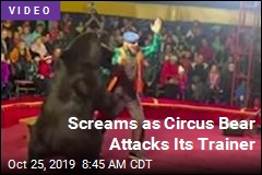 Day at the Circus Turns Chaotic: &#39;Everyone Started Running&#39;