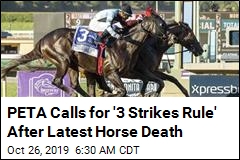 Since December, 34 Horses Have Died Here. Now It&#39;s 35