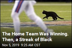 The Home Team Was Winning. Then, a Streak of Black
