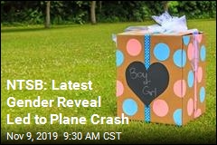 NTSB: Latest Gender Reveal Led to Plane Crash