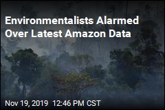Environmentalists Alarmed Over Latest Amazon Data