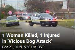 1 Woman Killed, 1 Injured in &#39;Vicious Dog Attack&#39;