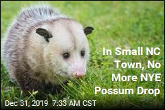 No Possums Will Fall From the Sky Tonight in This Town