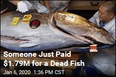 Someone Just Paid $1.79M for a Dead Fish