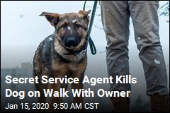 Secret Service Agent Kills Dog on Walk With Owner