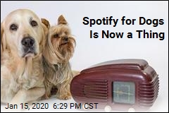 Spotify&#39;s New Playlist Is for Your Dog