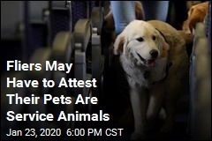 Fliers May Have to Attest Their Pets Are Service Animals
