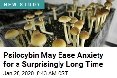 Psychedelics May Ease Anxiety for a Surprisingly Long Time