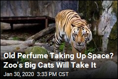 Zoo&#39;s Big Cats Will Take Your Old Perfume