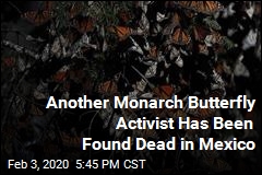 Second Monarch Butterfly Activist Found Dead in Mexico