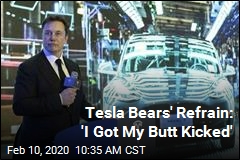 Tesla Bears&#39; Refrain: &#39;I Got My Butt Kicked&#39;