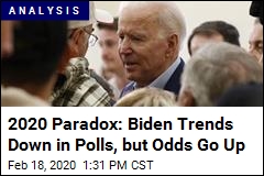 These New Polls Are Decent News for Biden