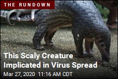 This Scaly Creature Implicated in Virus Spread
