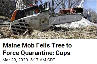 Maine Mob Fells Tree to Force Quarantine: Cops