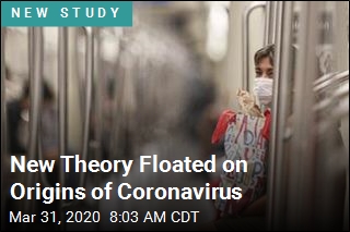New Theory Floated on Origins of Coronavirus