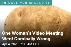 One Woman&#39;s Video Meeting Went Comically Wrong