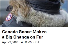 Canada Goose Says It Will Stop Buying &#39;Virgin&#39; Fur