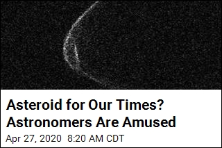 Asteroid for Our Times? Astronomers Are Amused