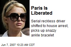 Paris Is Liberated