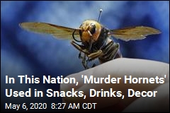 Are &#39;Murder Hornets&#39; Terrifying? Yes. Are They Delicious? Yes.