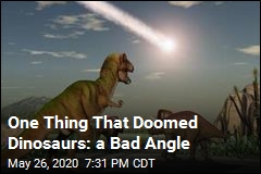 One Thing That Doomed Dinosaurs: a Bad Angle