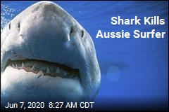 Shark Strikes Australia Again