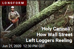 &#39;Holy Cannoli&#39;: How Wall Street Left Loggers Reeling