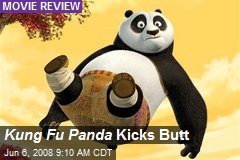 Kung Fu Panda Kicks Butt