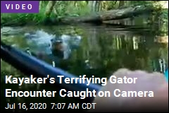 Peaceful Kayaking Trip Upended by Charging Gator