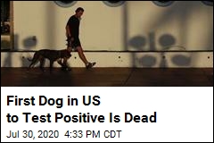 First Dog in US to Test Positive Is Dead