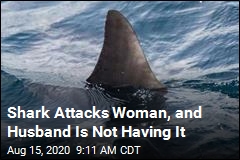 Shark Attacks Woman, and Husband Is Not Having It