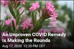 An Unproven COVID Remedy Is Making the Rounds
