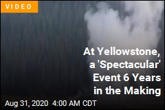 At Yellowstone, a &#39;Spectacular&#39; Event 6 Years in the Making