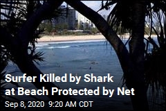 Rare Shark Attack at Beach Protected by Netting