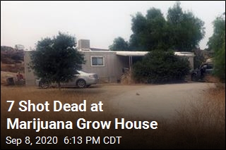 7 Shot Dead at Marijuana Grow House